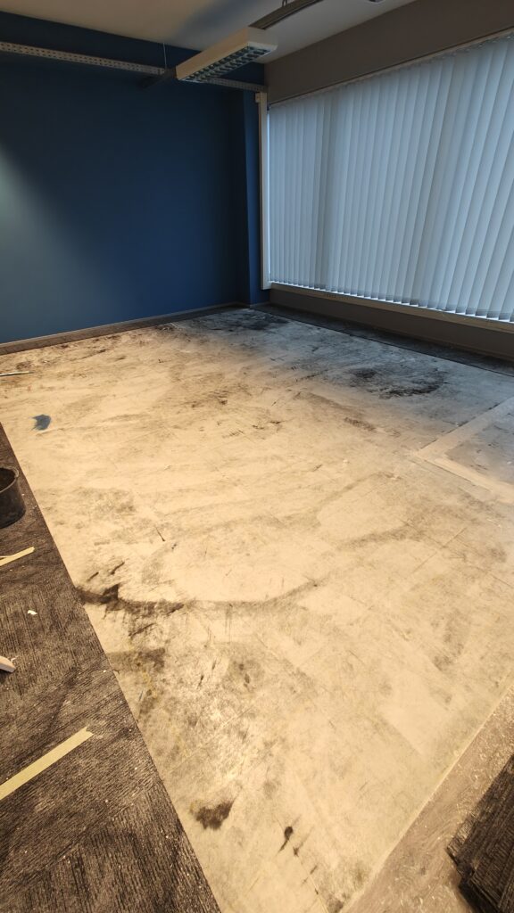 Stuudio ruumide ettevalmistus, vanade vaipade eemaldamine.