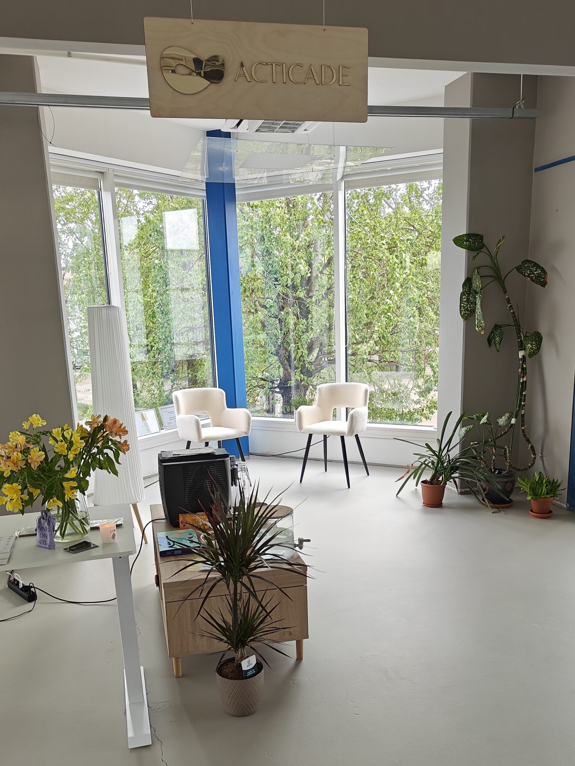 Acticade stuudio sünd